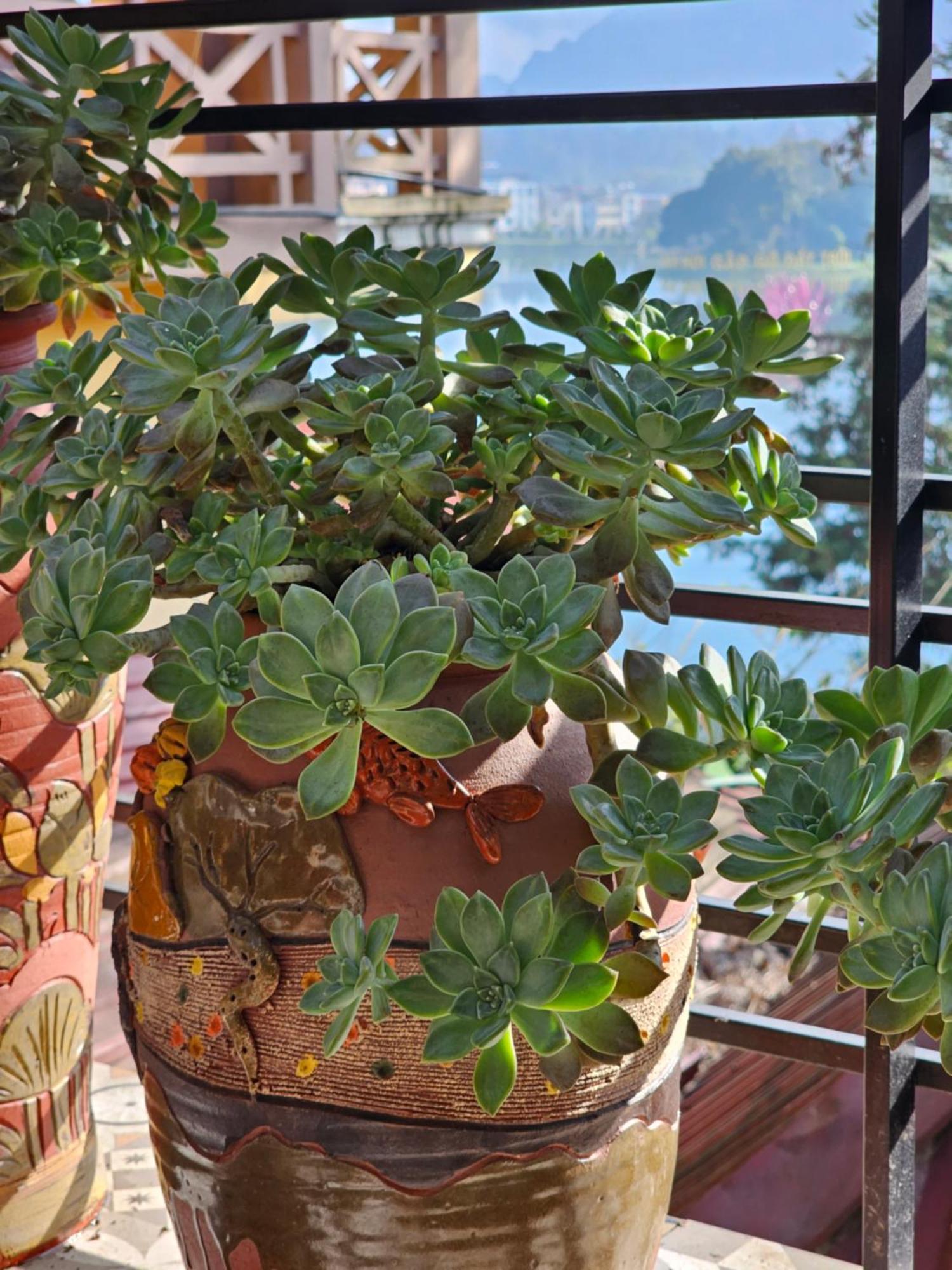 Dang Khoa Garden Inn Homestay Sapa Eksteriør billede