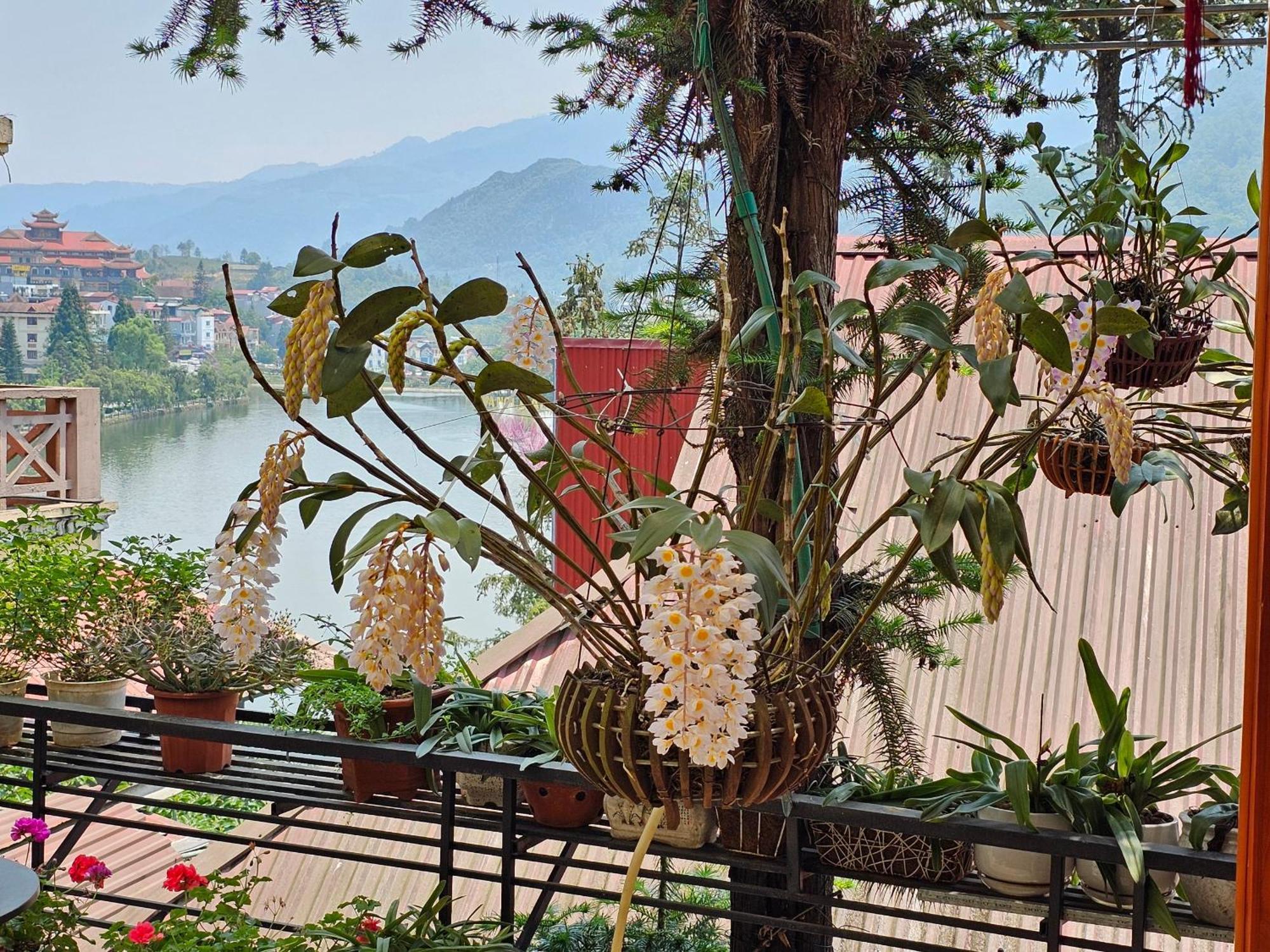 Dang Khoa Garden Inn Homestay Sapa Eksteriør billede