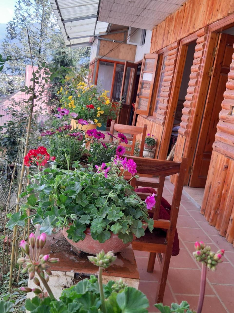 Dang Khoa Garden Inn Homestay Sapa Eksteriør billede